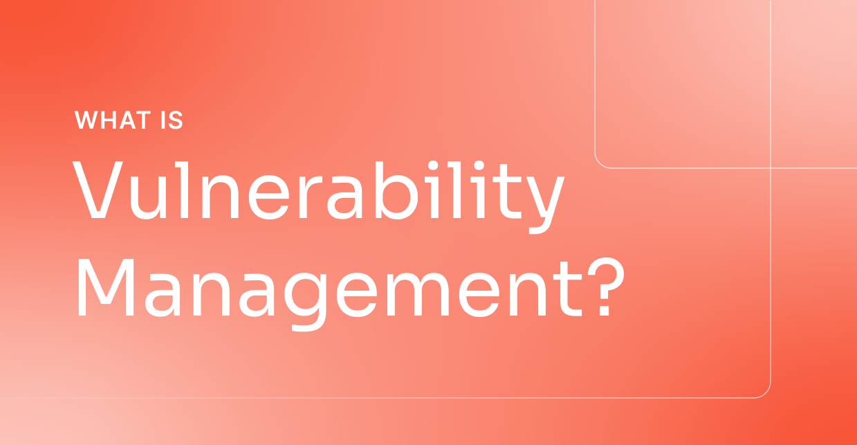 What is Vulnerability Management