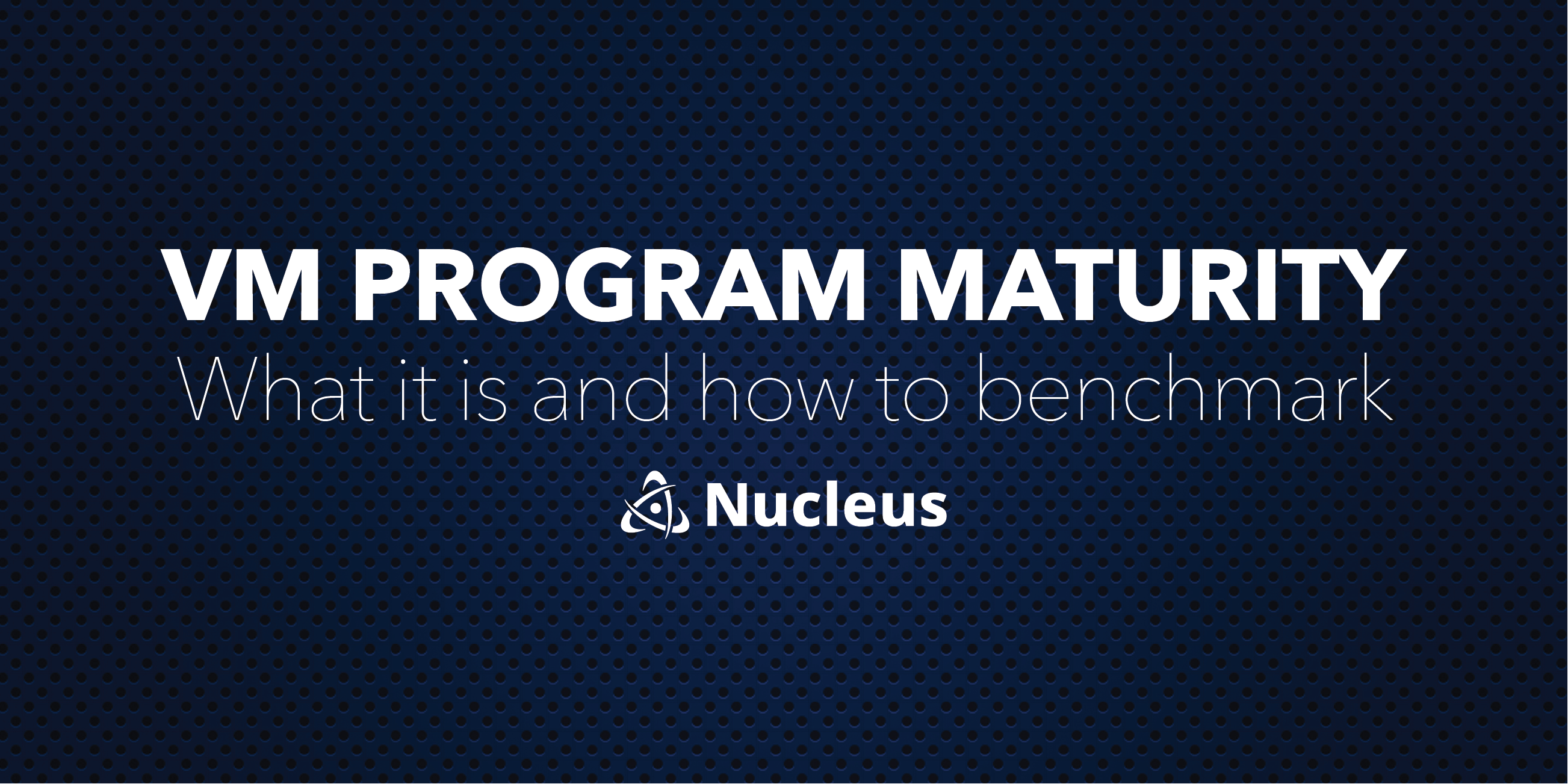 VM Program Maturity