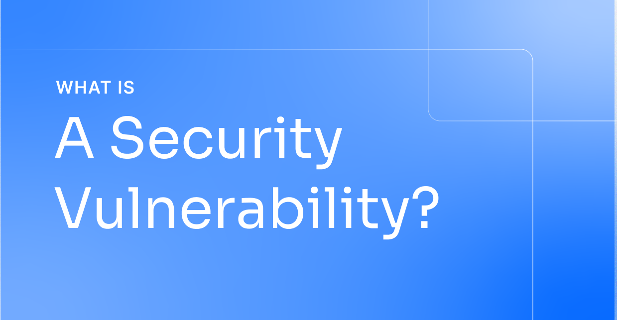 What is a Security Vulnerability