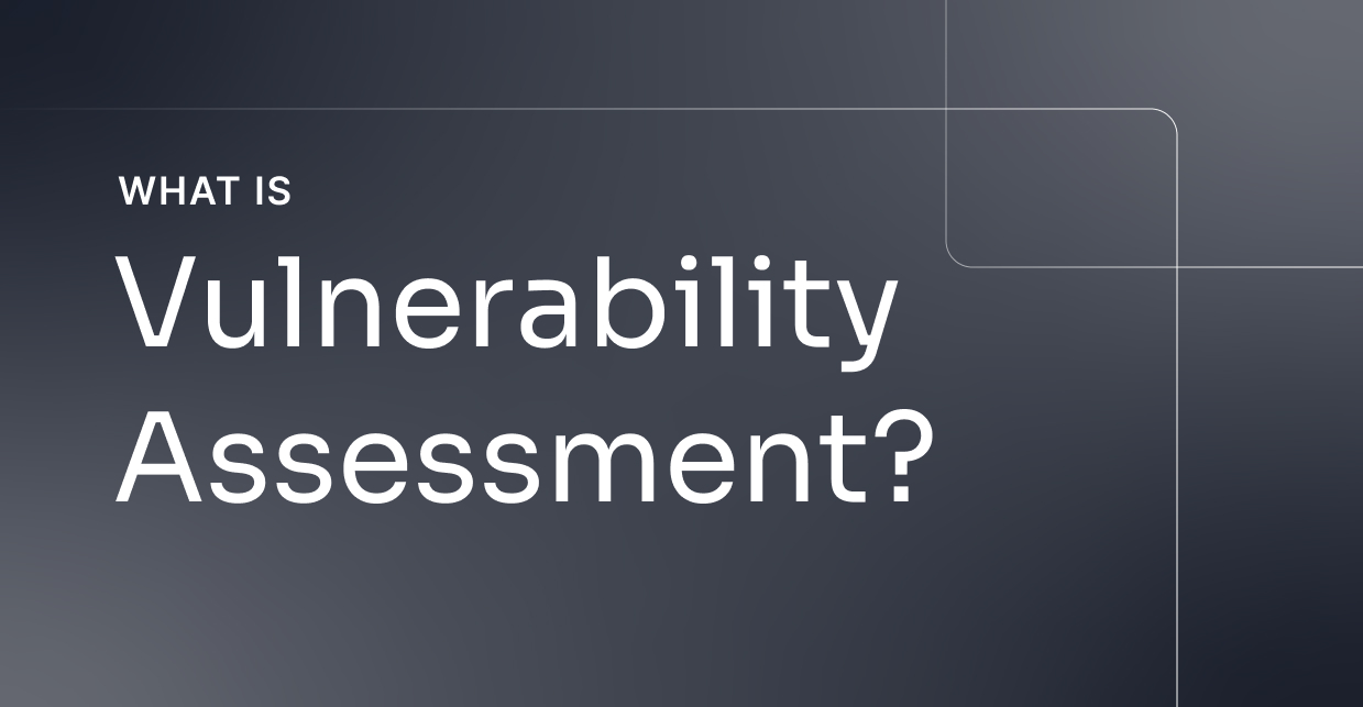 What is Vulnerability Assessment?