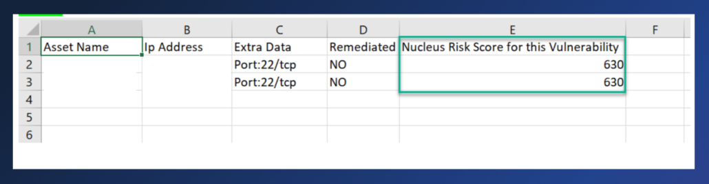Example of additional vuln data in ticket csv file in Nucleus 