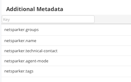 Invicti/Netsparker Additional Metadata