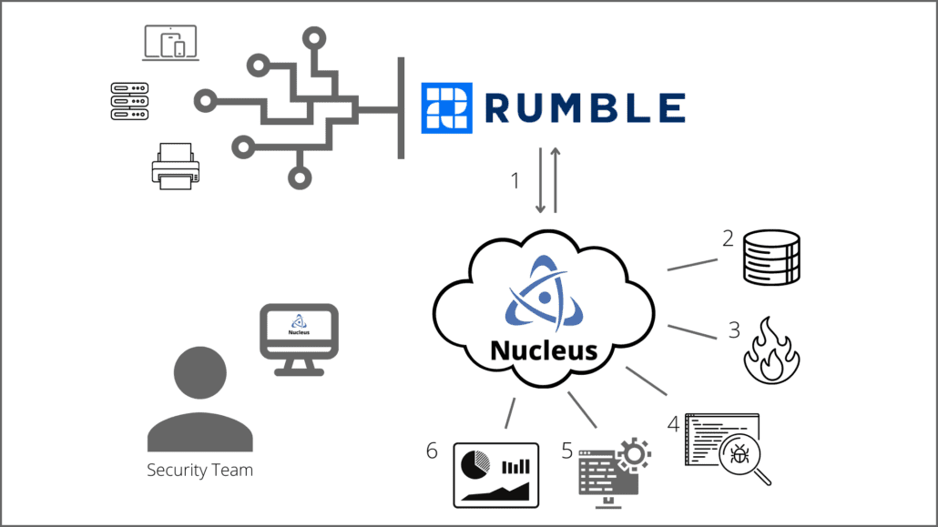 Rumble Network Diagram